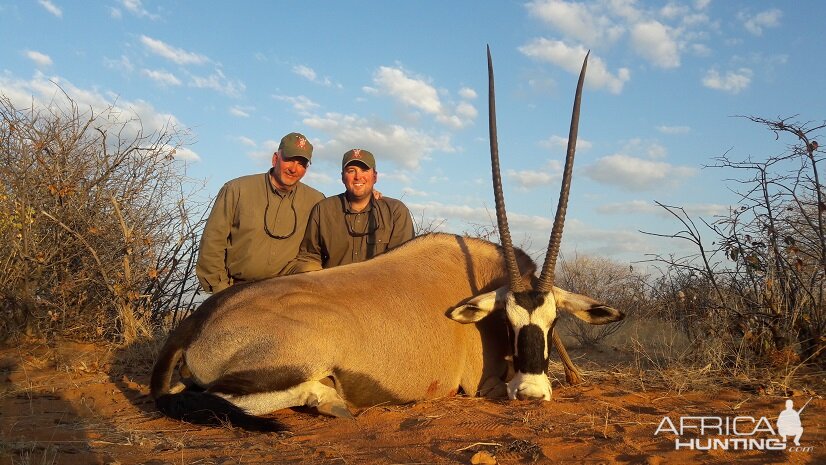 Gemsbok Namibia