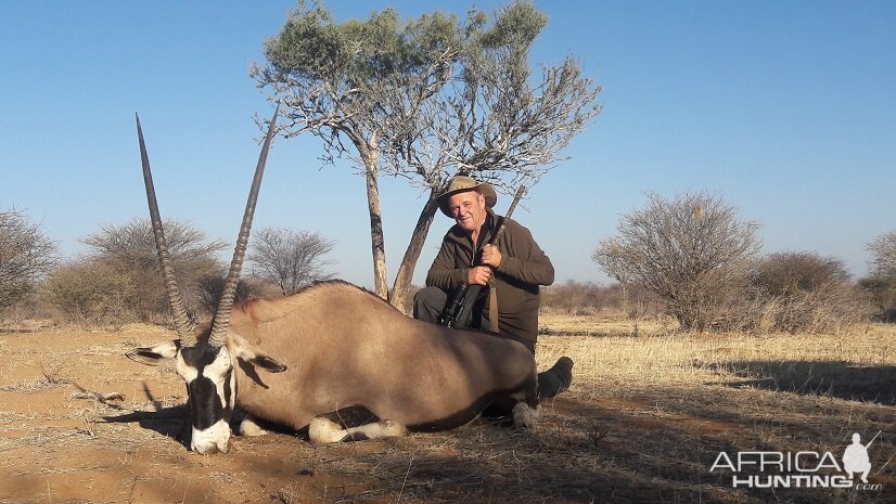 Gemsbok Namibia