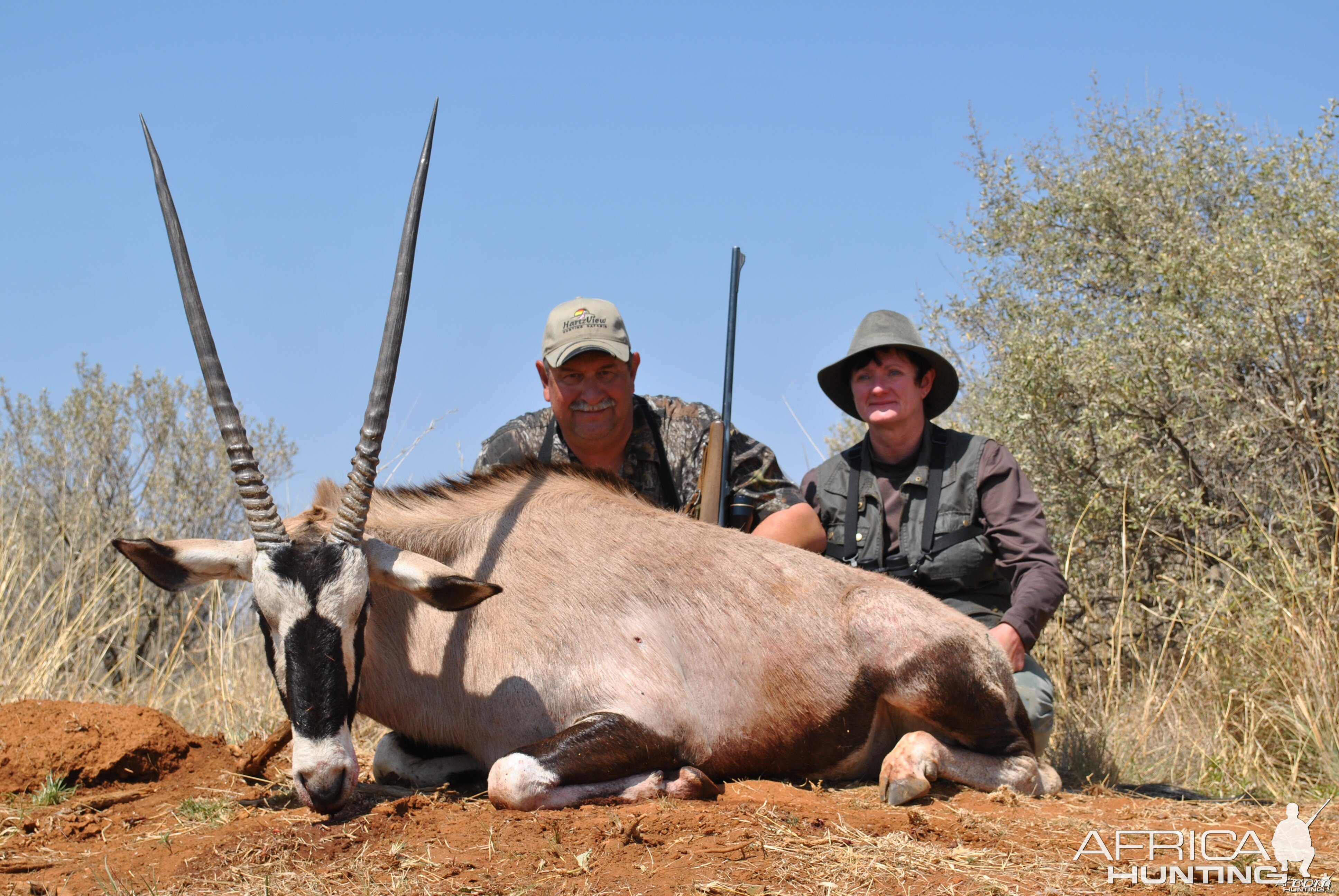 Gemsbok (Oryx)