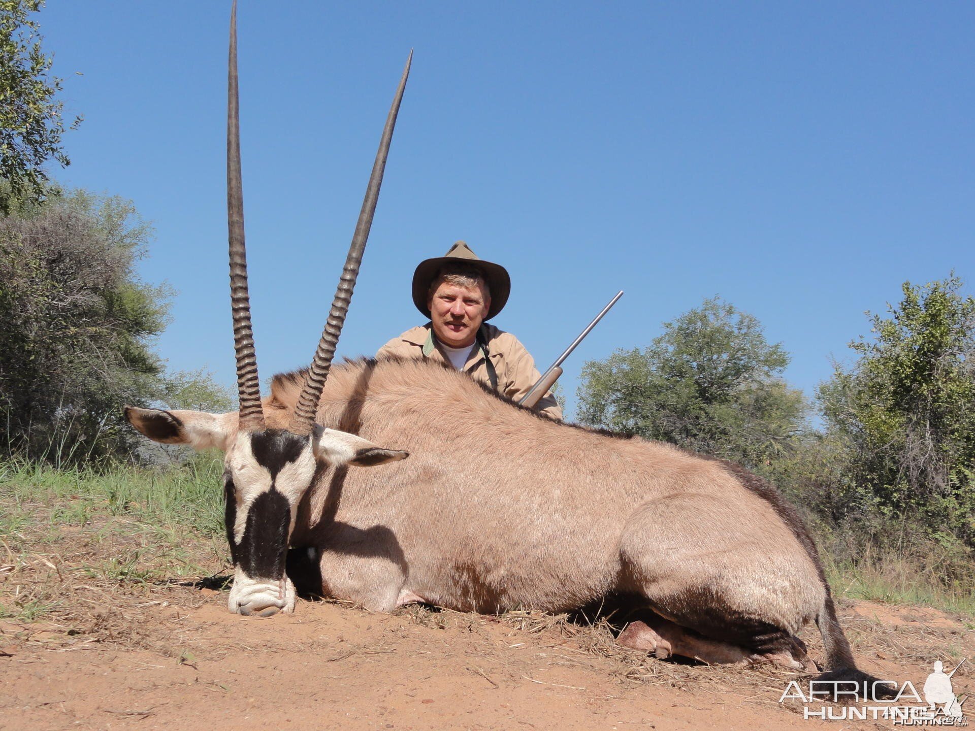 Gemsbok South Africa