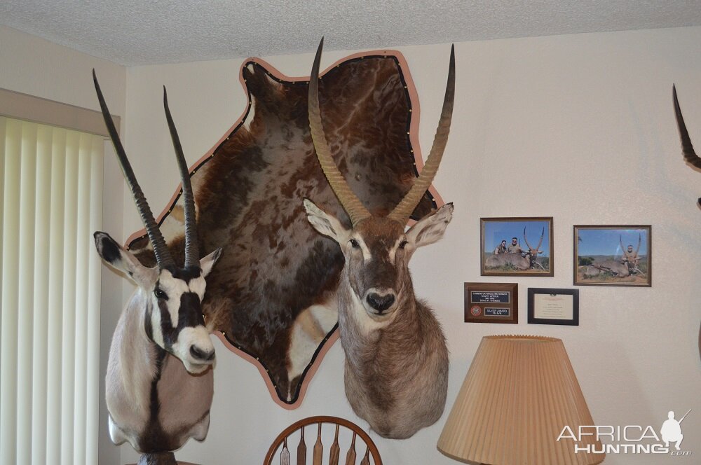 Gemsbok & Waterbuck Shoulder Mount Taxidermy and Blesbok Skin