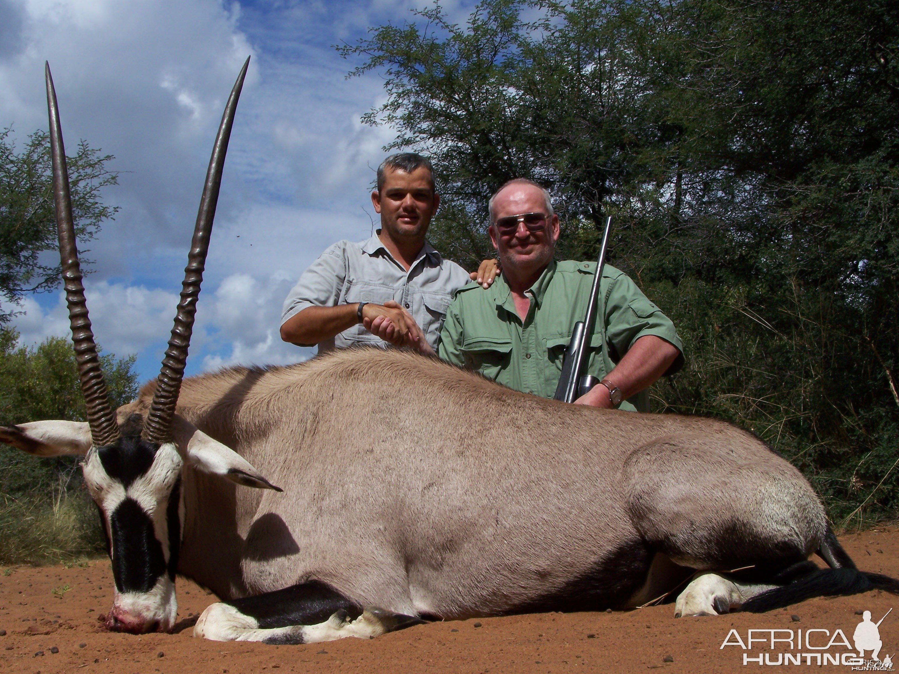 Gemsbok