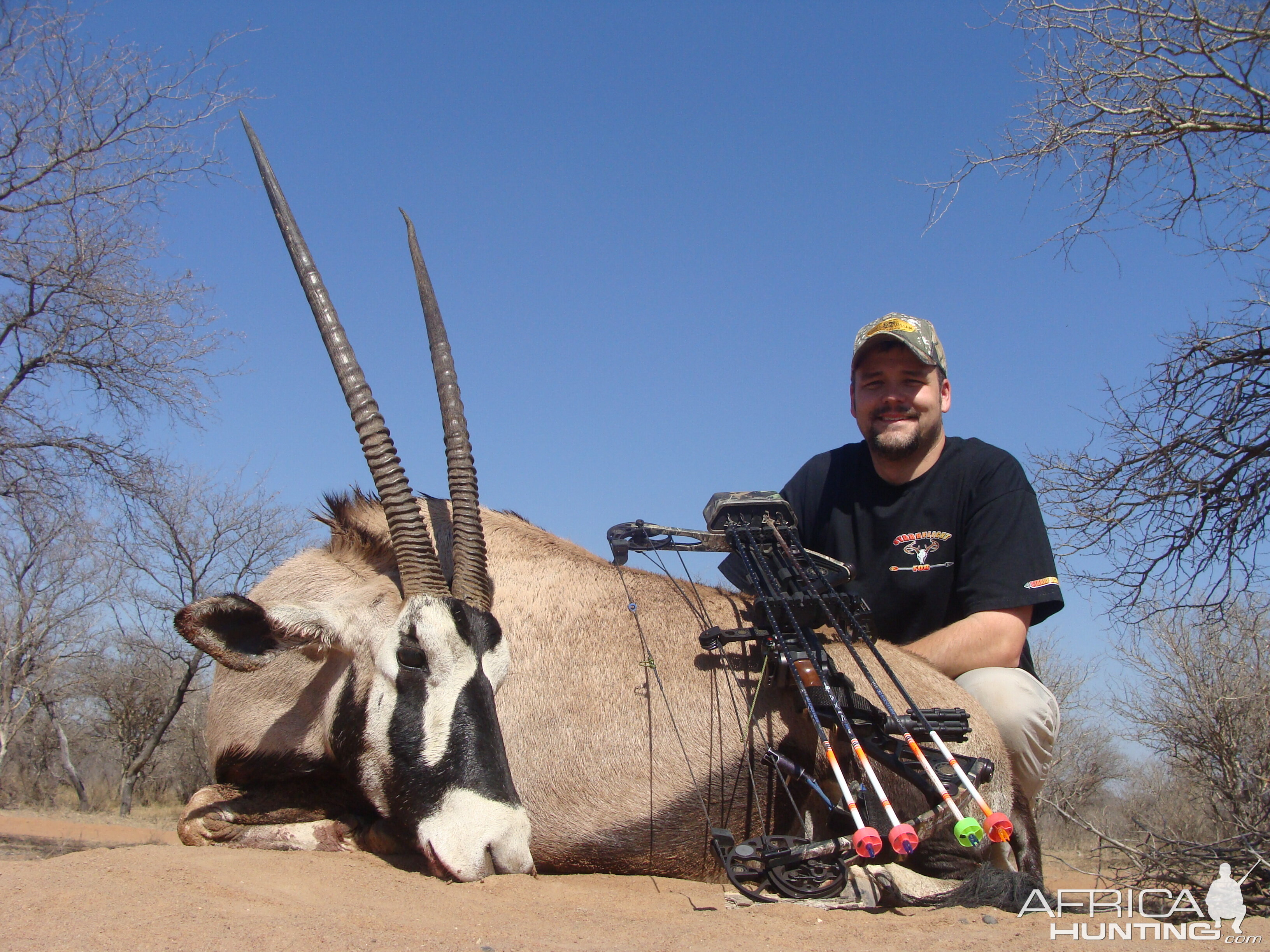 Gemsbok