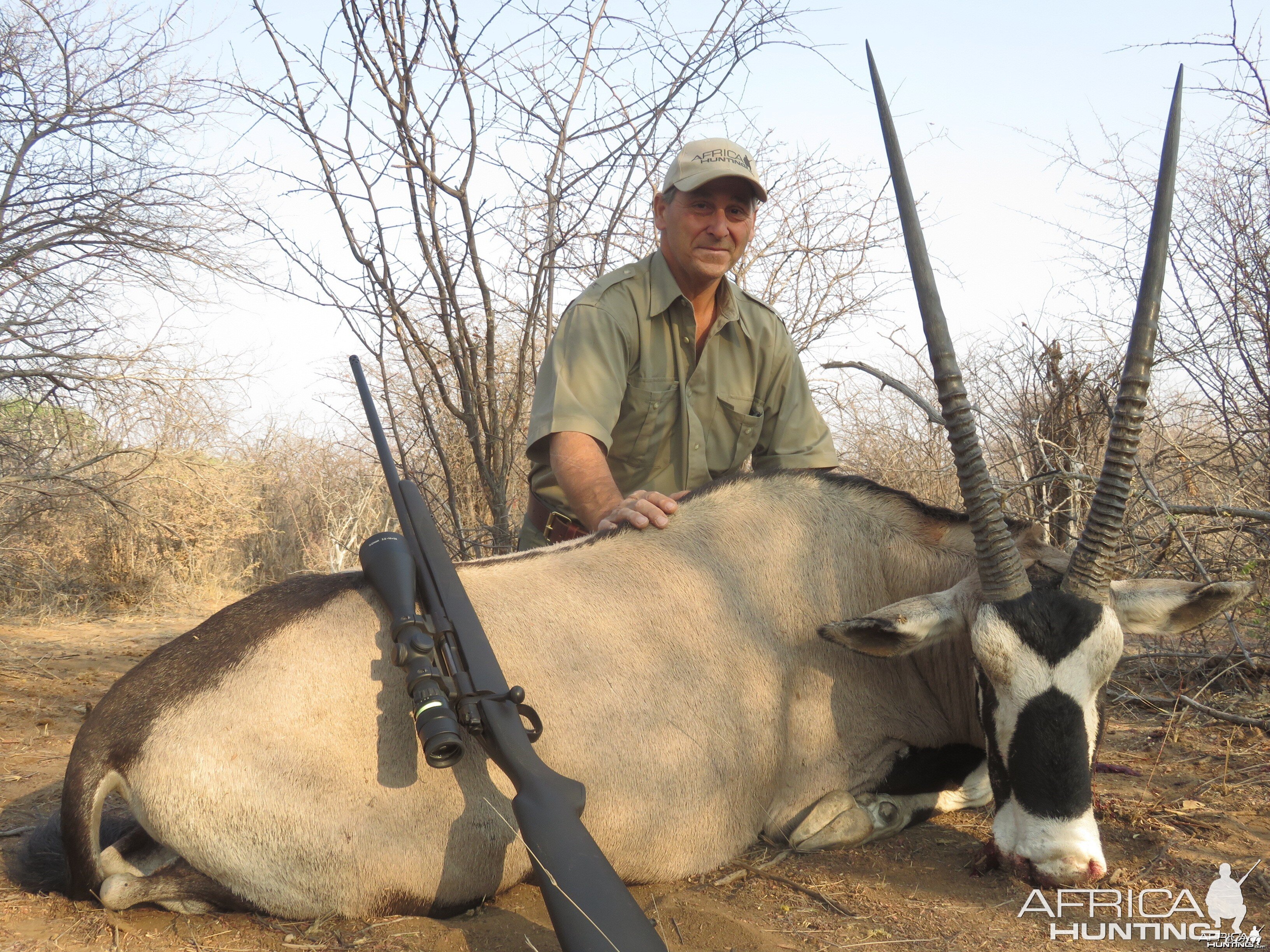 Gemsbok