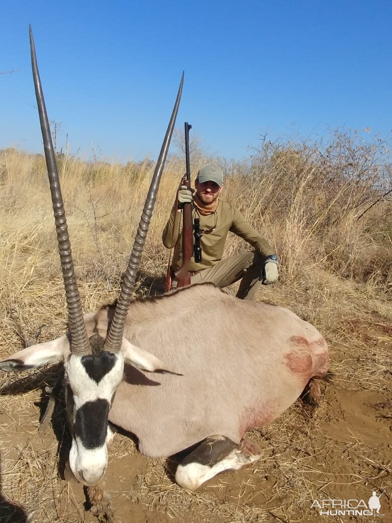 Gemsbok