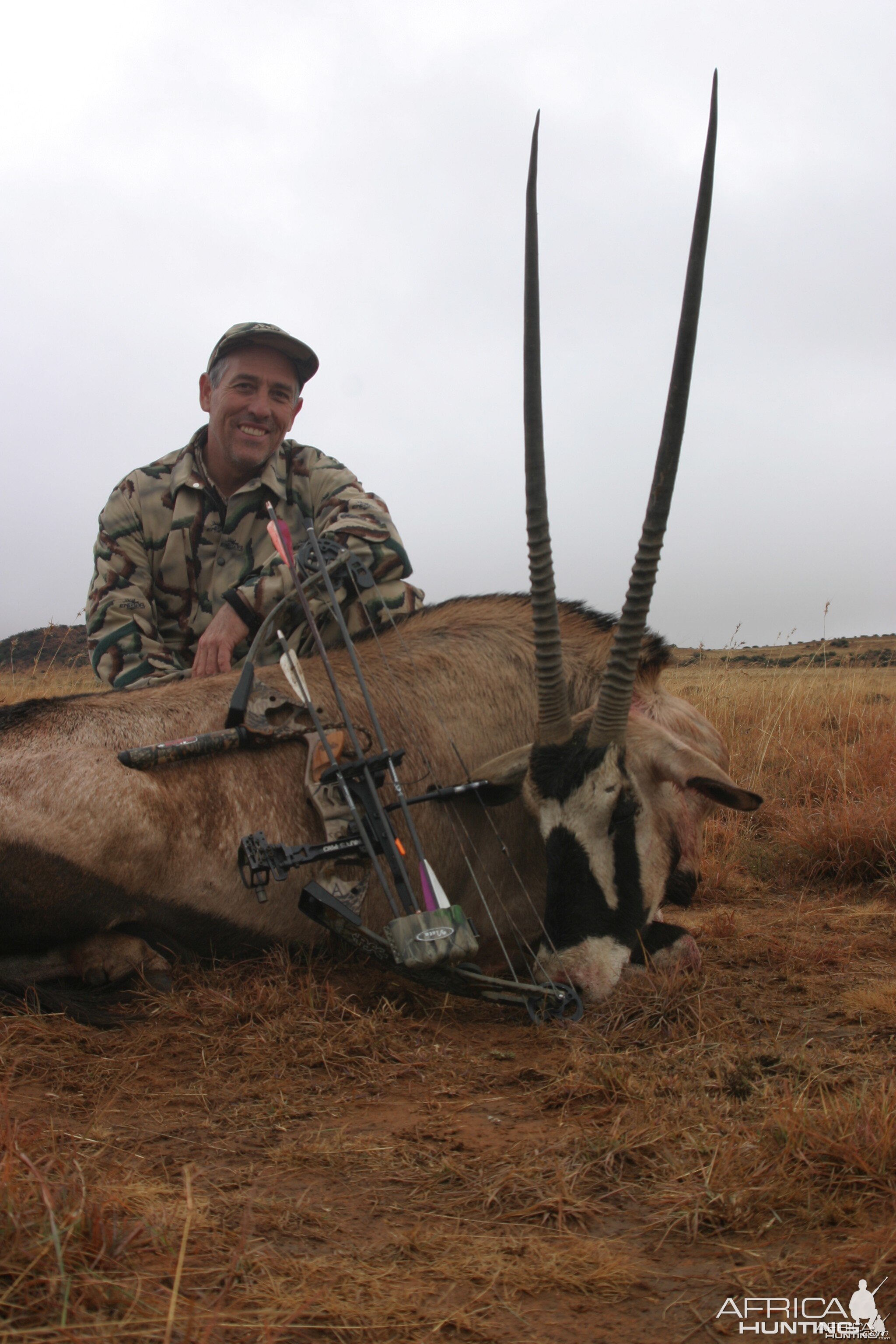 Gemsbuck from the East Cape