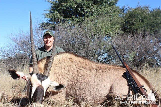 Gemsbuck (Oryx) - South Africa