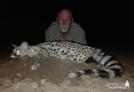 Genet Cat Hunting Sunset Safaris