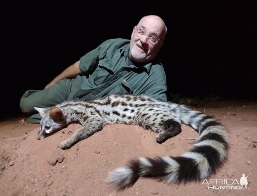 Genet Cat Hunting Sunset Safaris