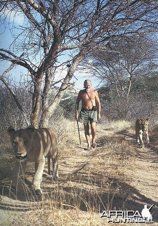 George Adamson walking Lions