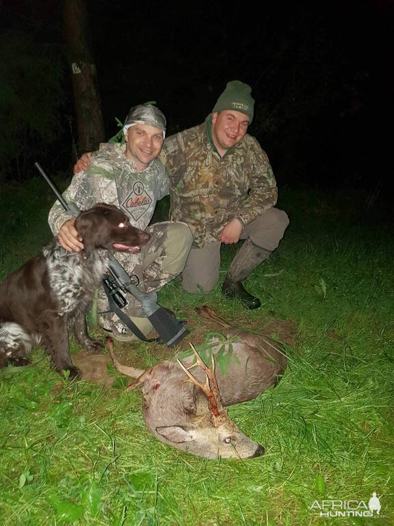 Germany Hunt Roe Deer