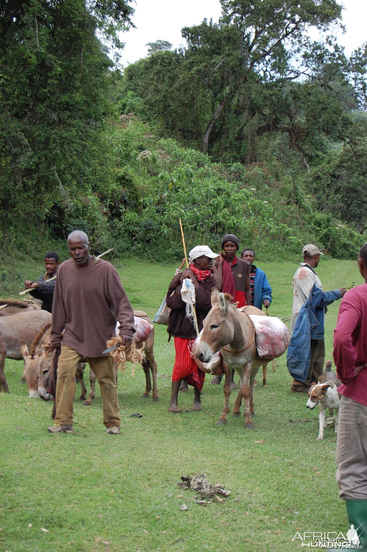 Getting the Buffalo Meat Tanzania