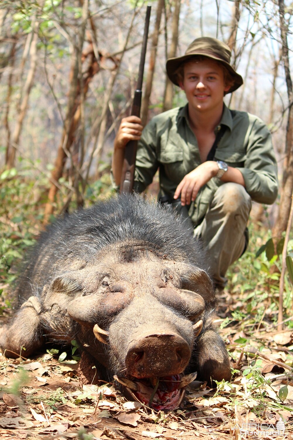 Giant Forest Hog hunt with CAWA in CAR