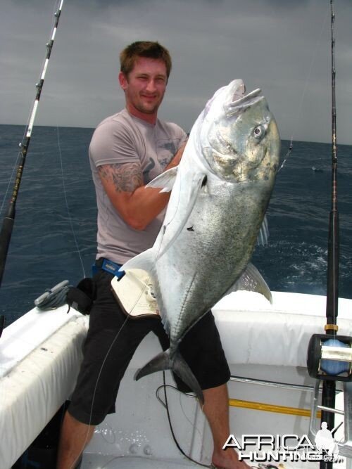 Giant Trevally Kingfish Malindi Kenya