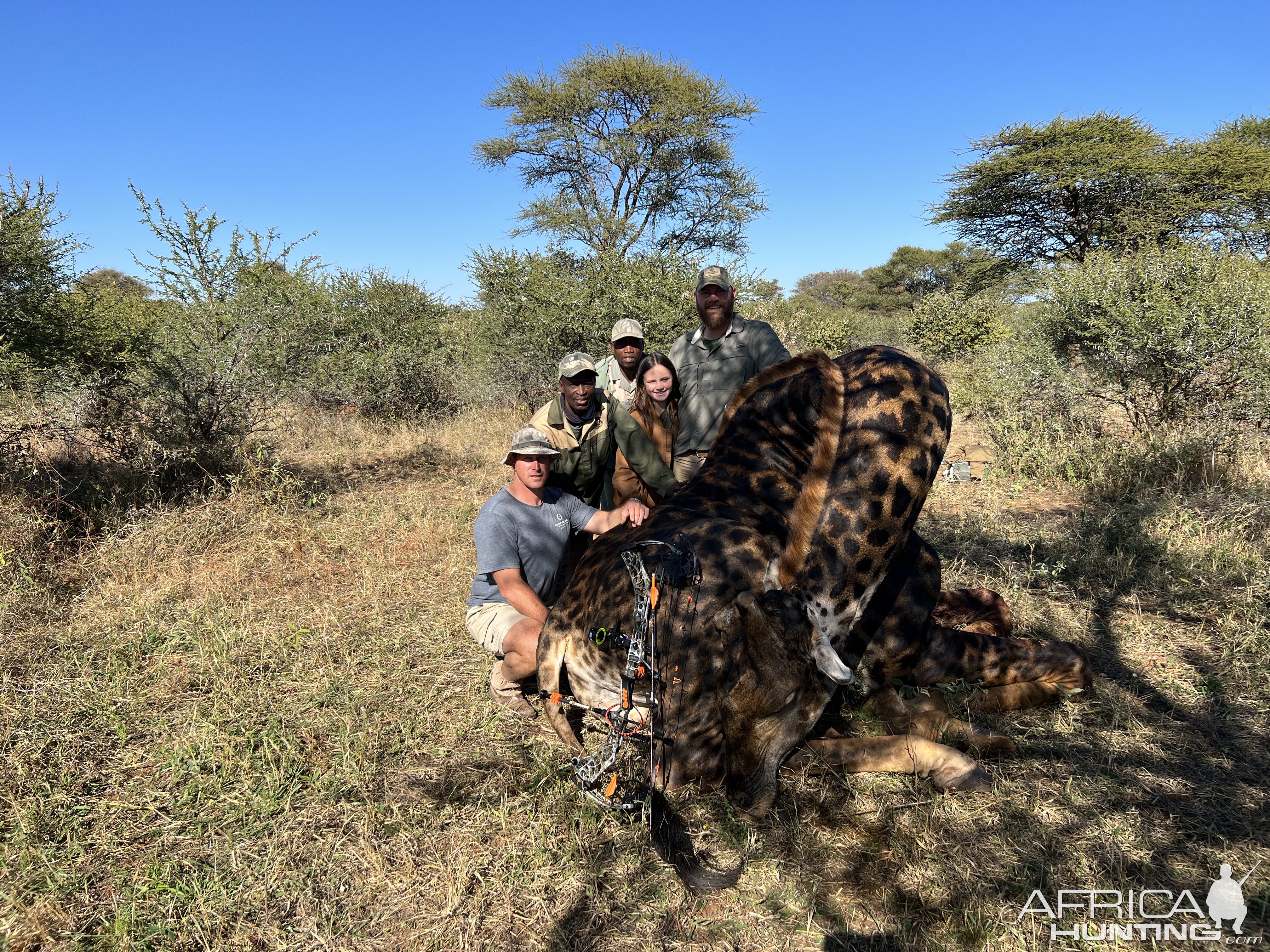 Giraffe Bow Hunt South Africa