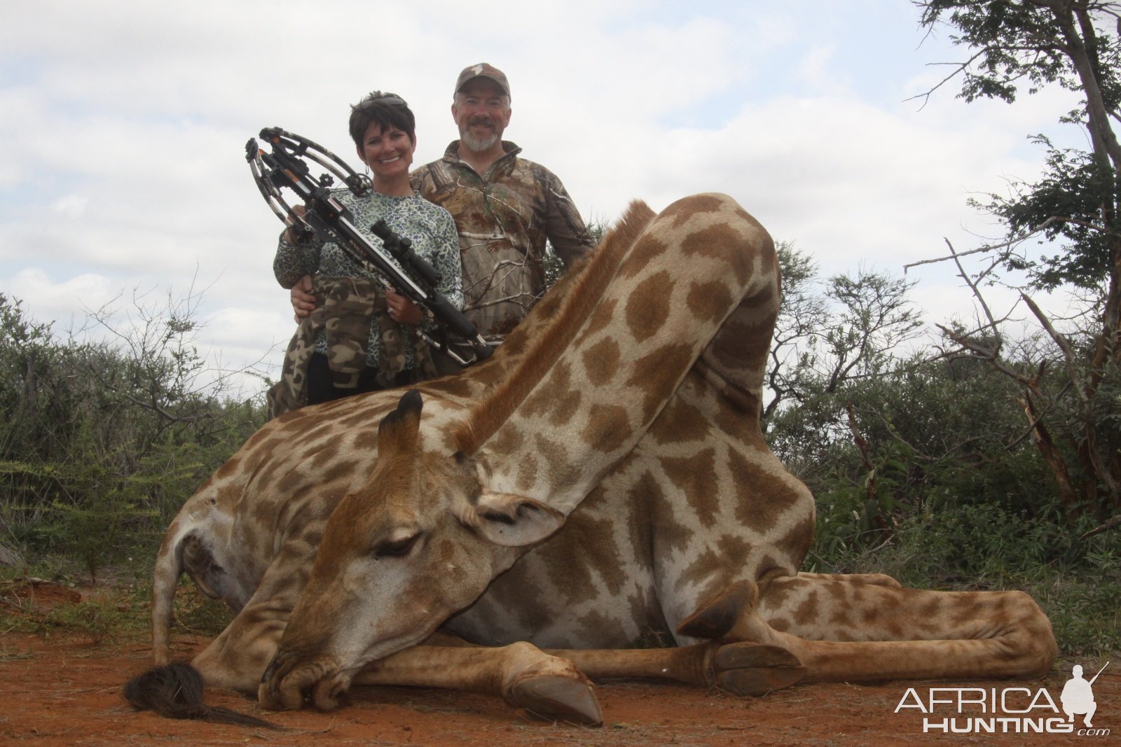 Giraffe Crossbow Hunting South Africa