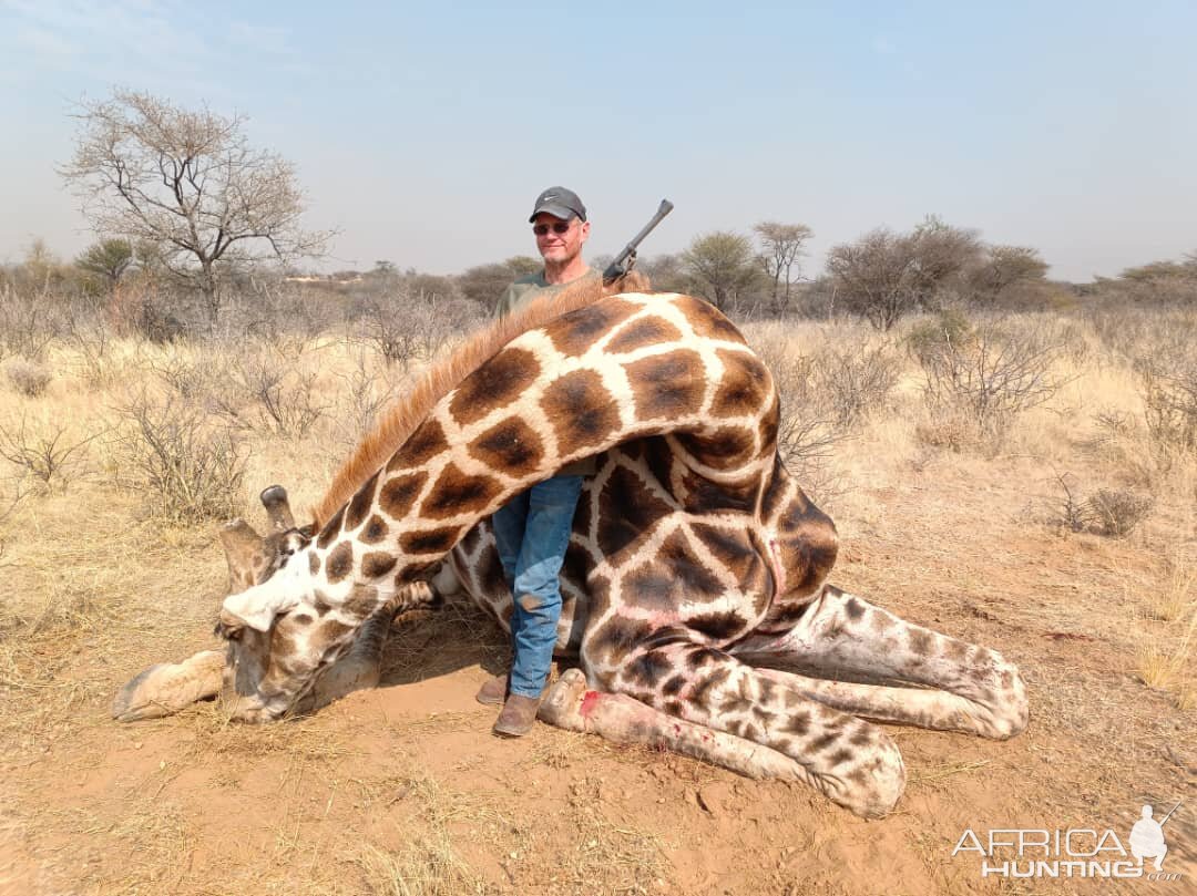 Giraffe Hunt Namibia