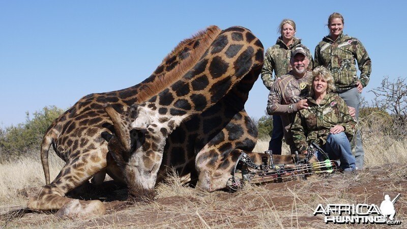 Giraffe hunt with Wintershoek Johnny Vivier Safaris