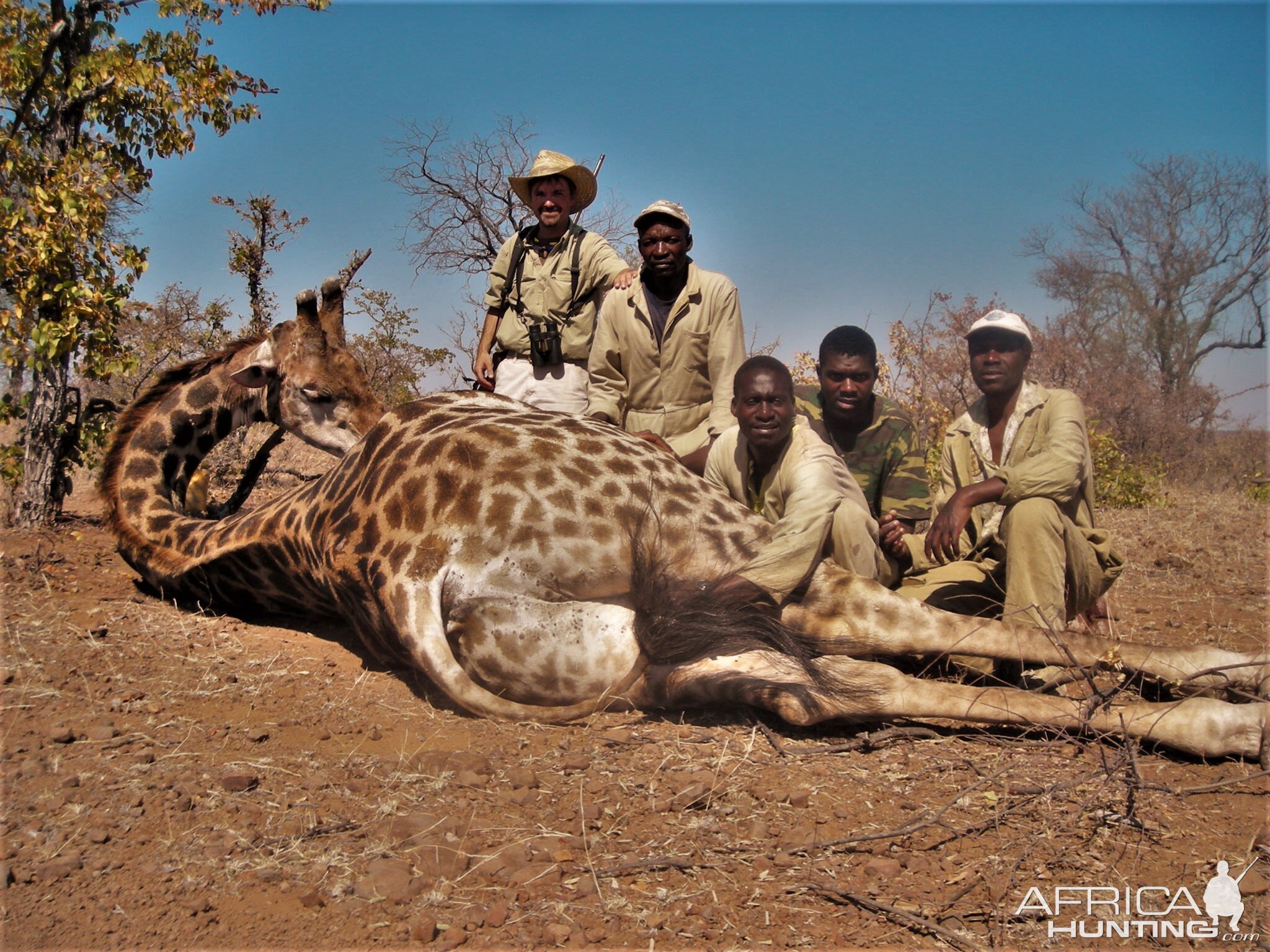 Giraffe Hunt Zimbabwe