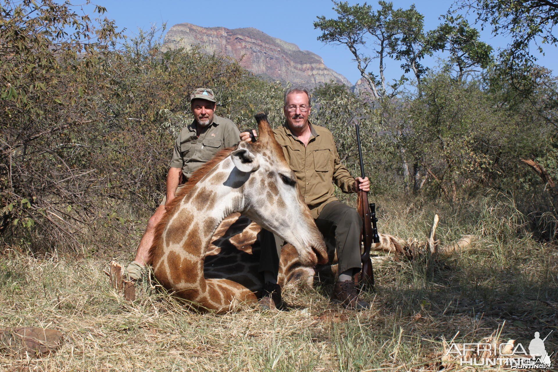 Giraffe hunted in Limpopo SA