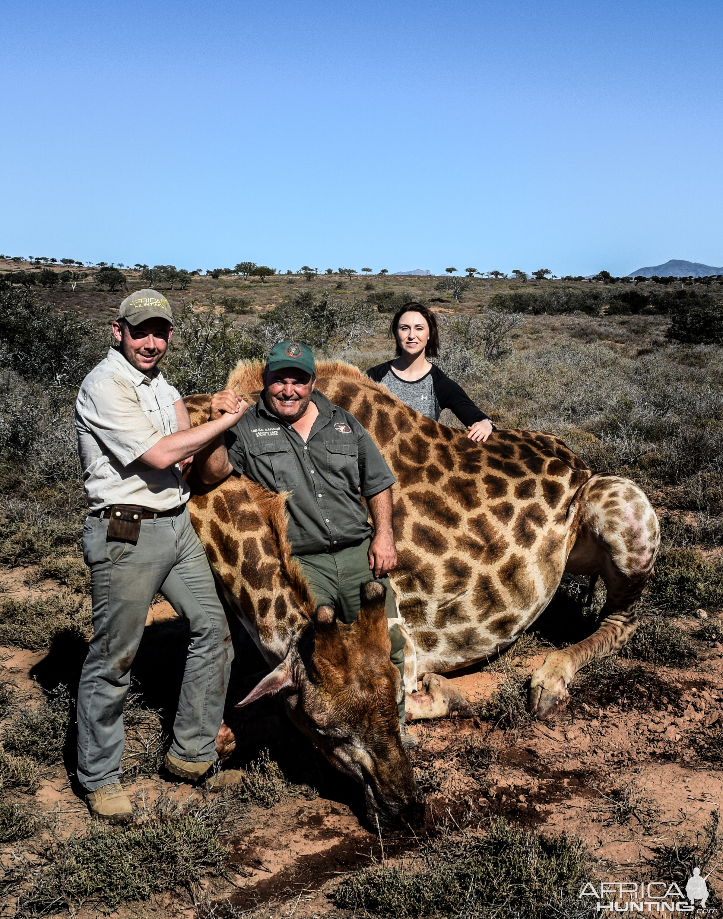 Giraffe Hunting South Africa