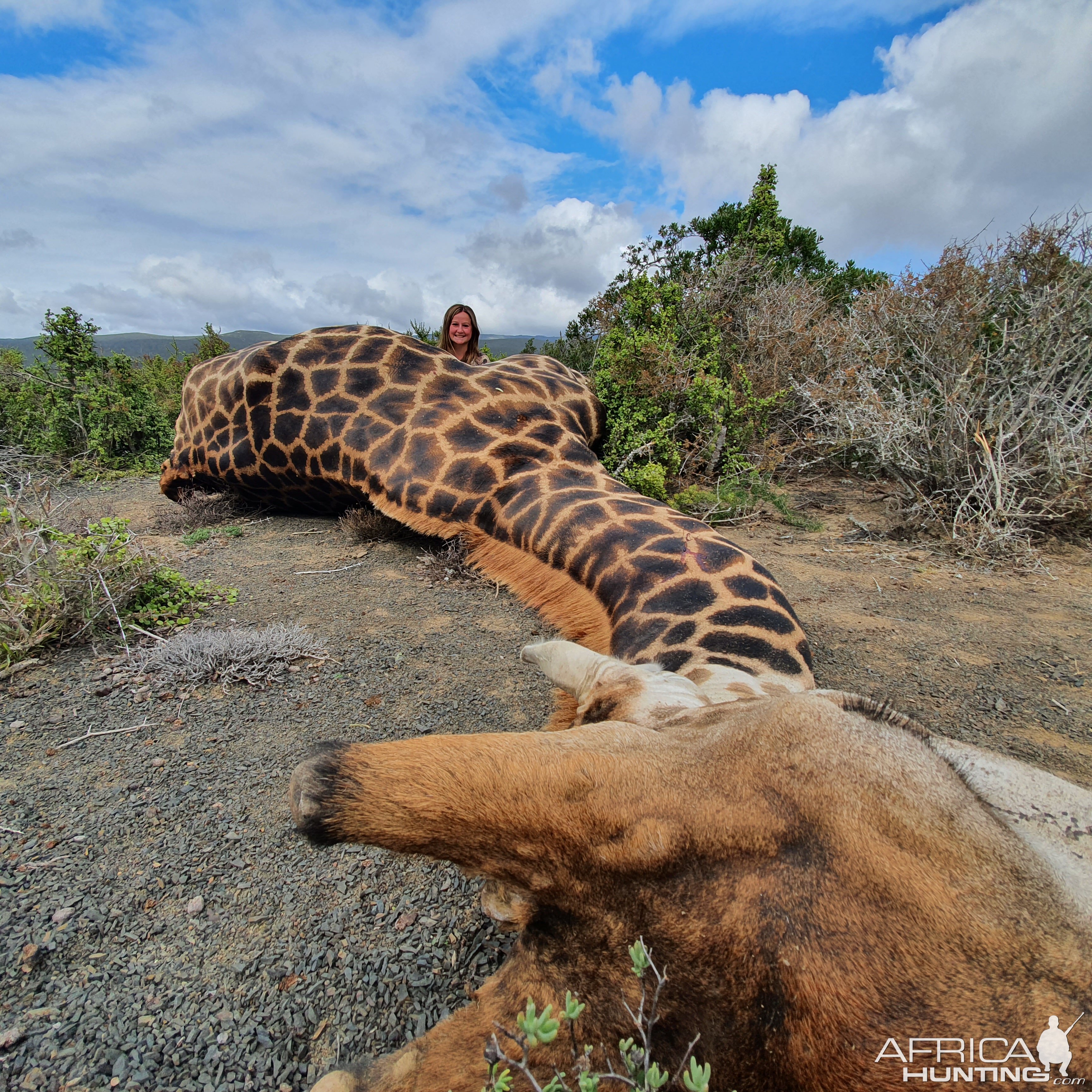 Giraffe Hunting South Africa