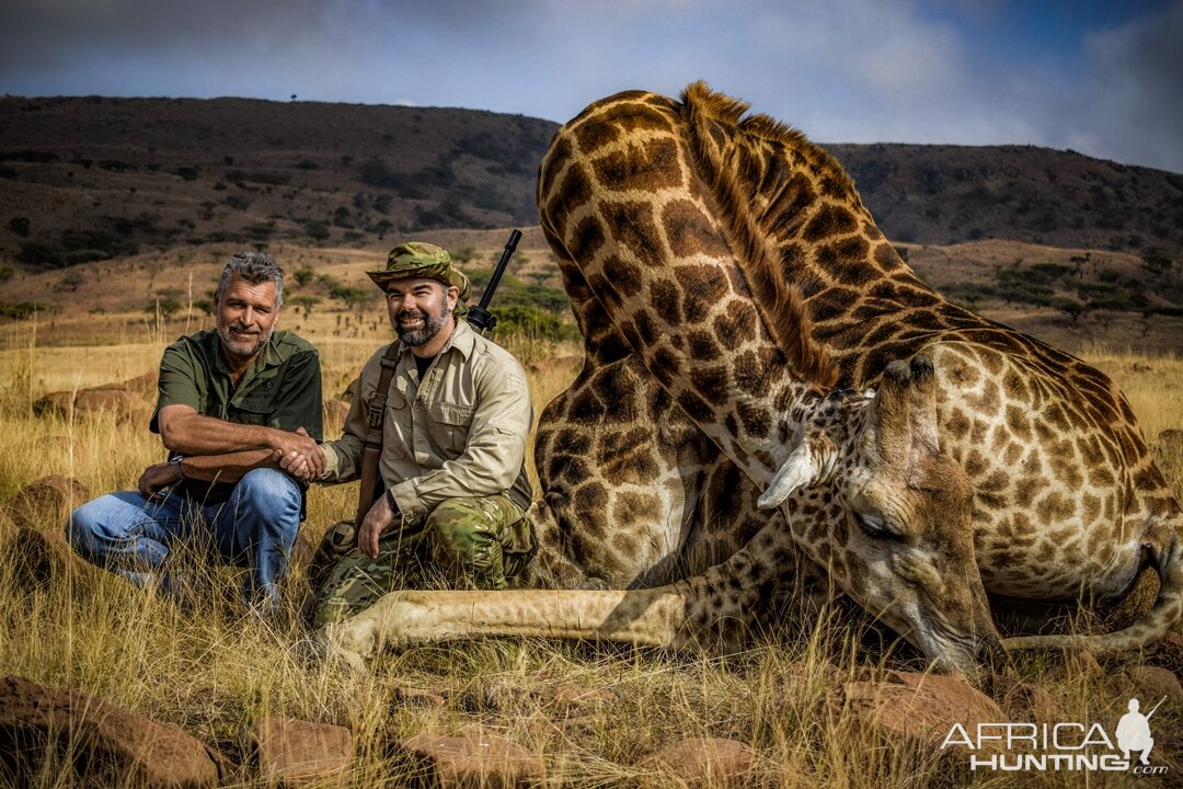 Giraffe Hunting South Africa
