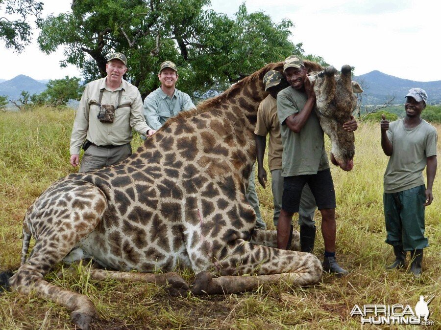 Giraffe with Kido Safaris