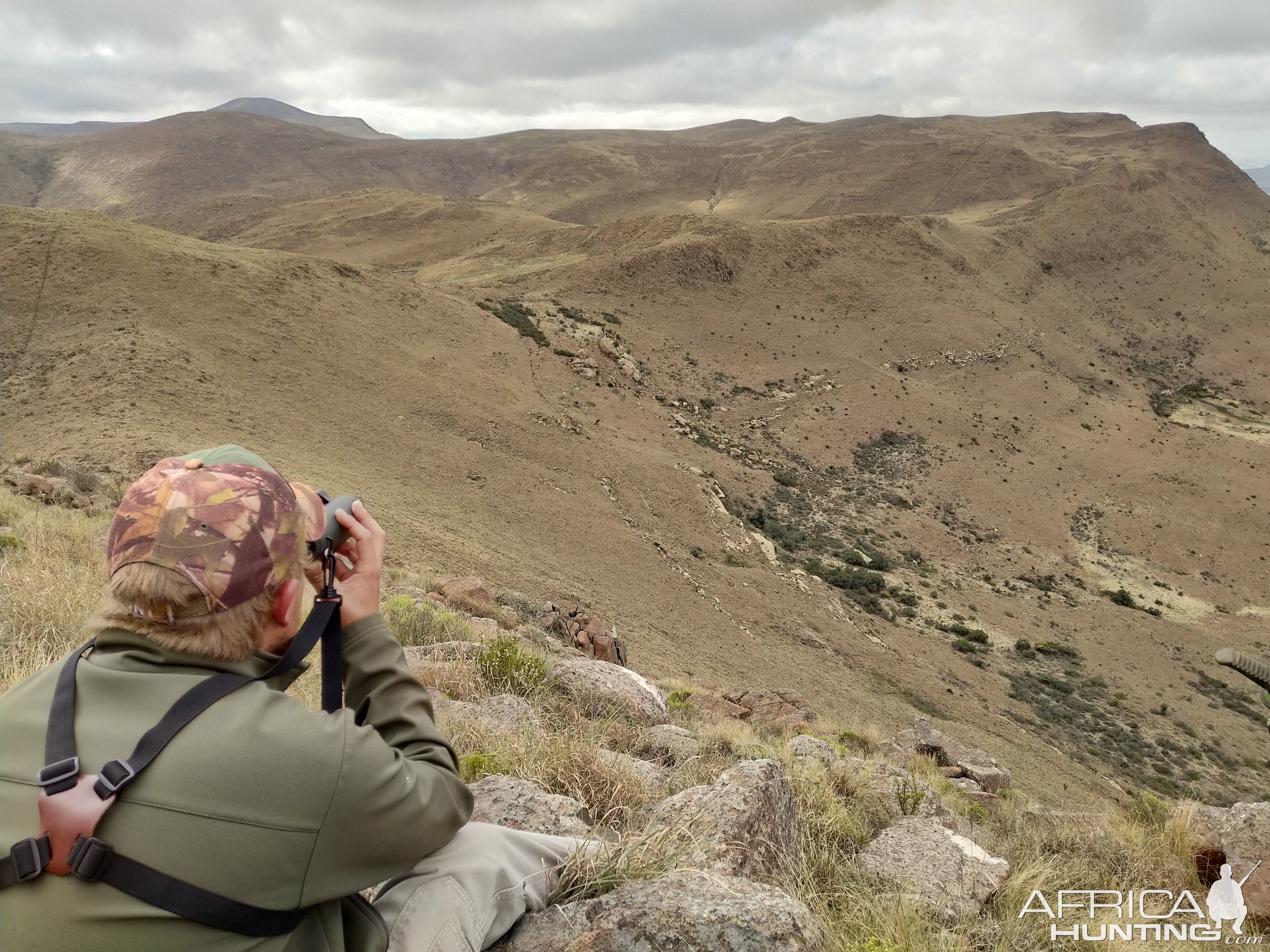 Glassing Aoudad in South Africa