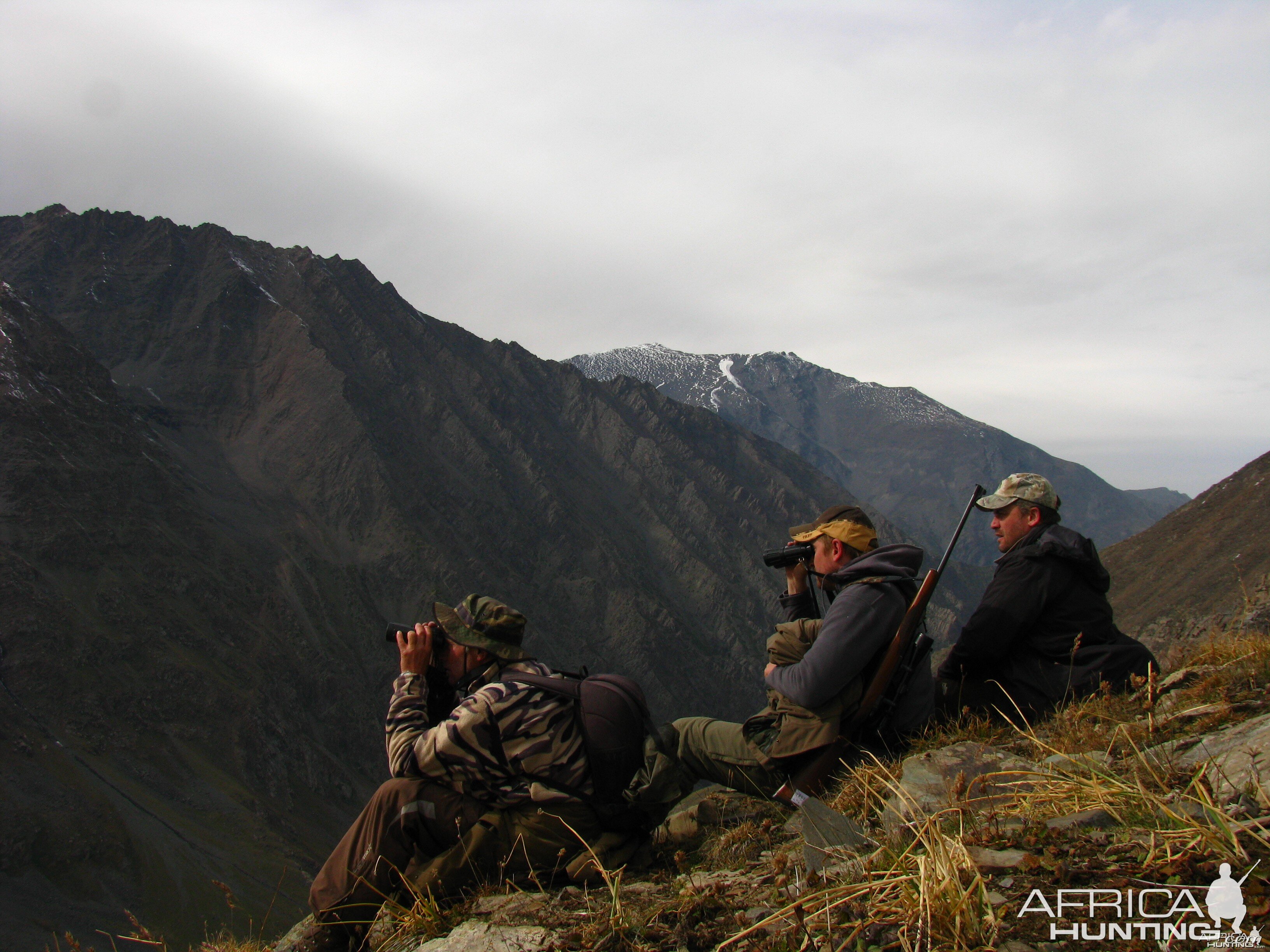 Glassing for Ibex