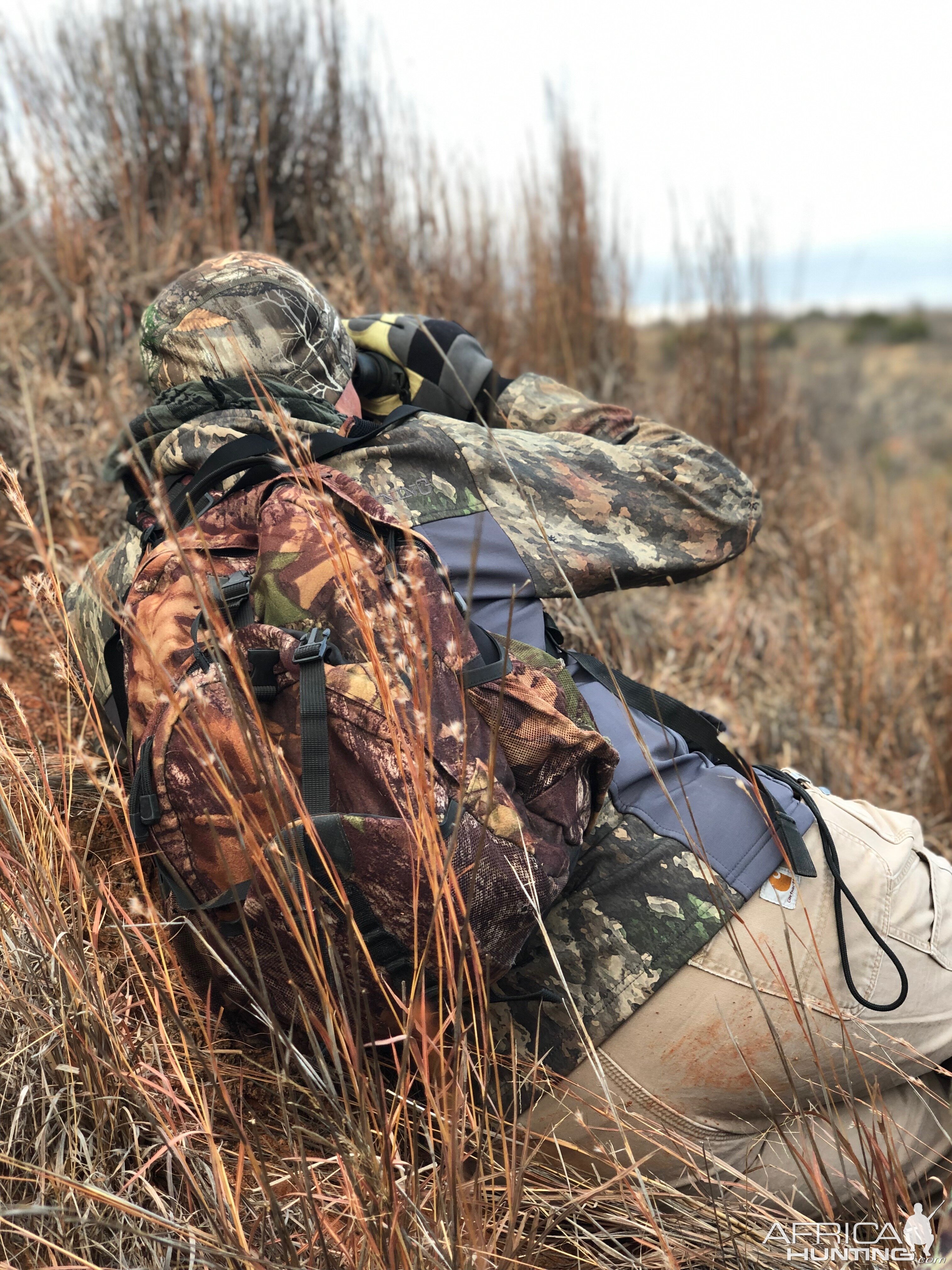 Glassing Game Texas USA