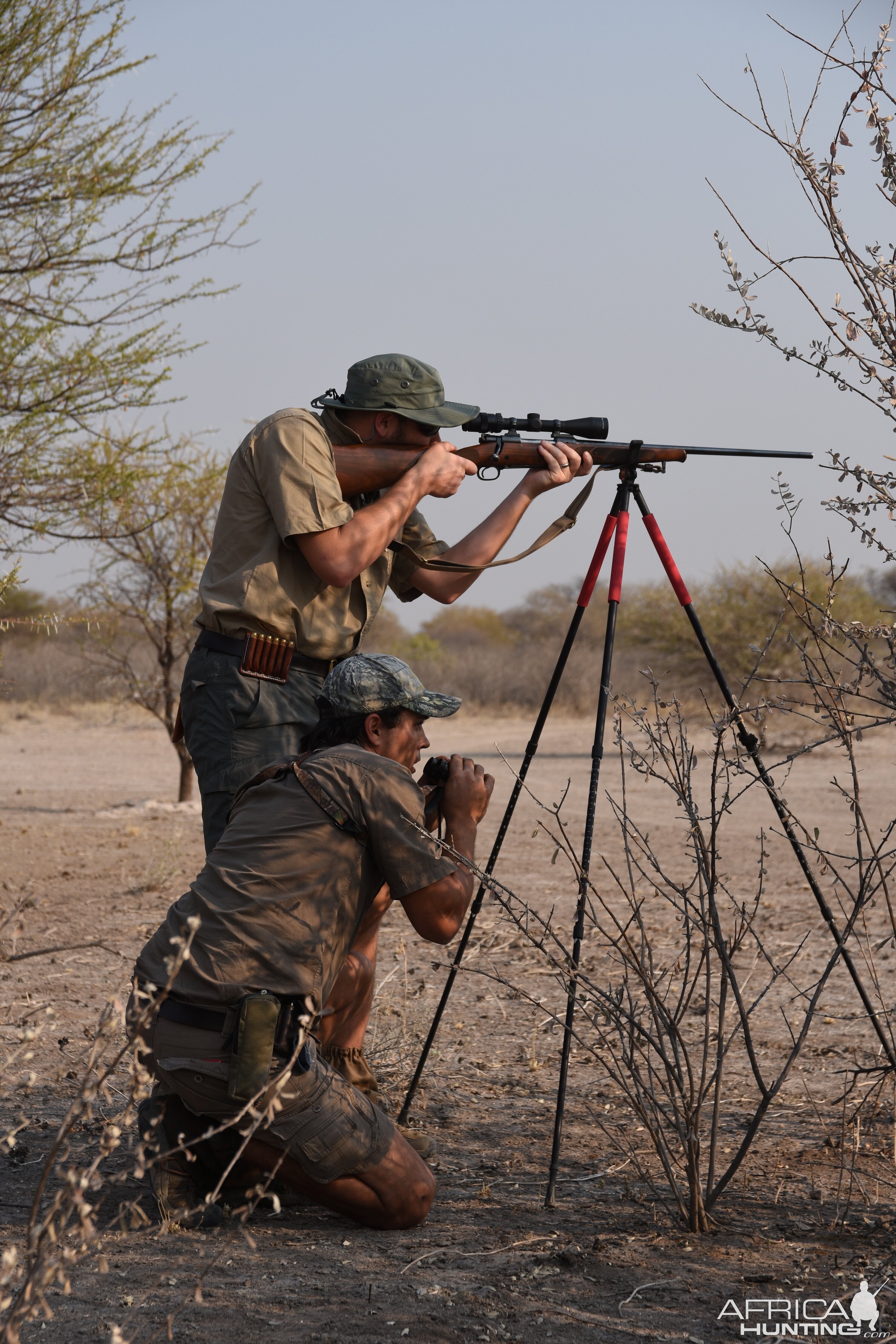 Glassing & Hunting Eland from Shooting Stick in Botswana