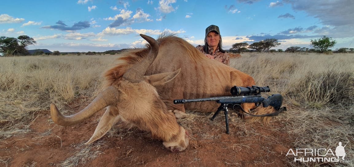 Golden Wildebeest Hunt Northern Cape South Africa