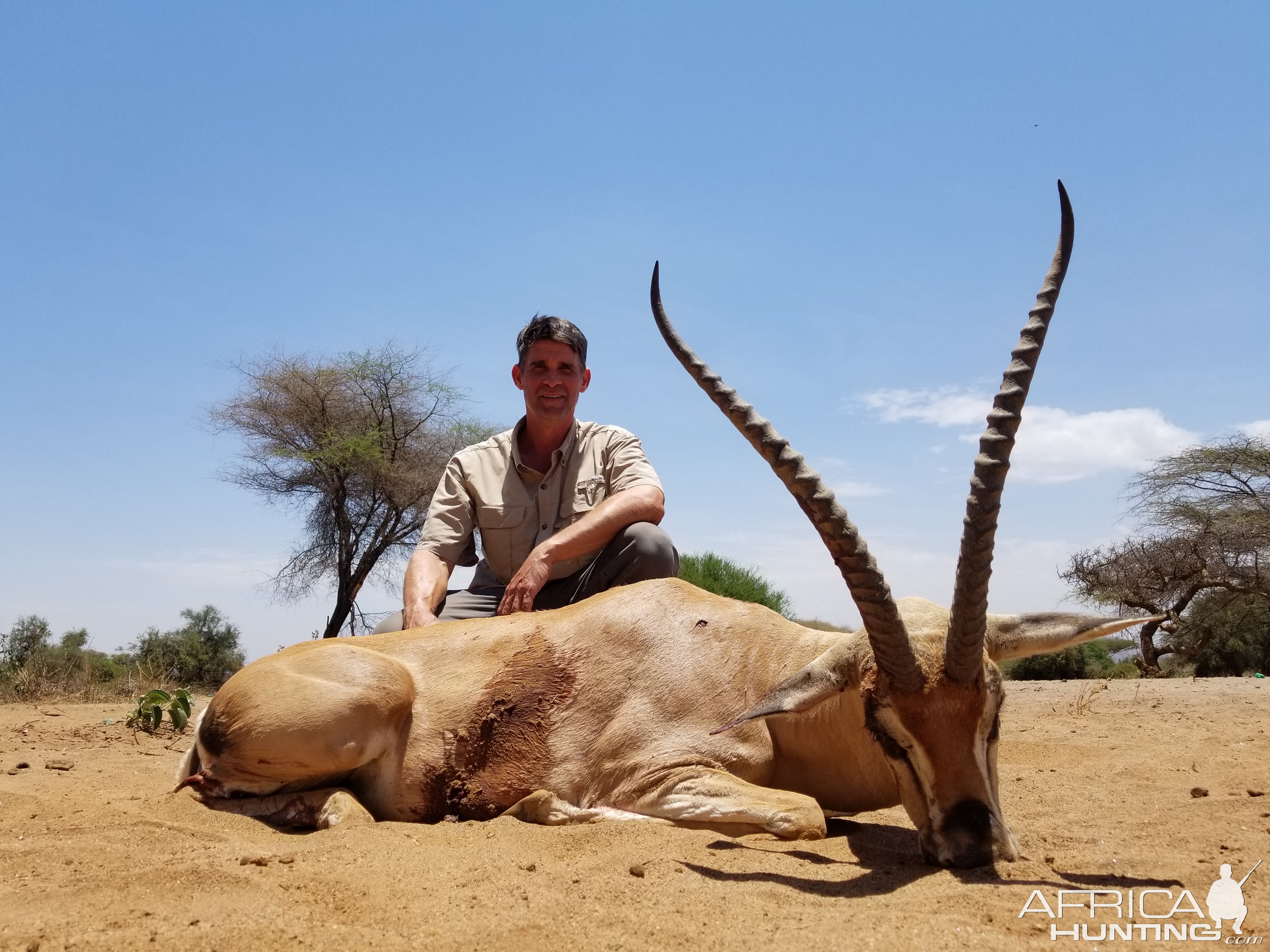 Grant’s Gazelle Hunting Massailand