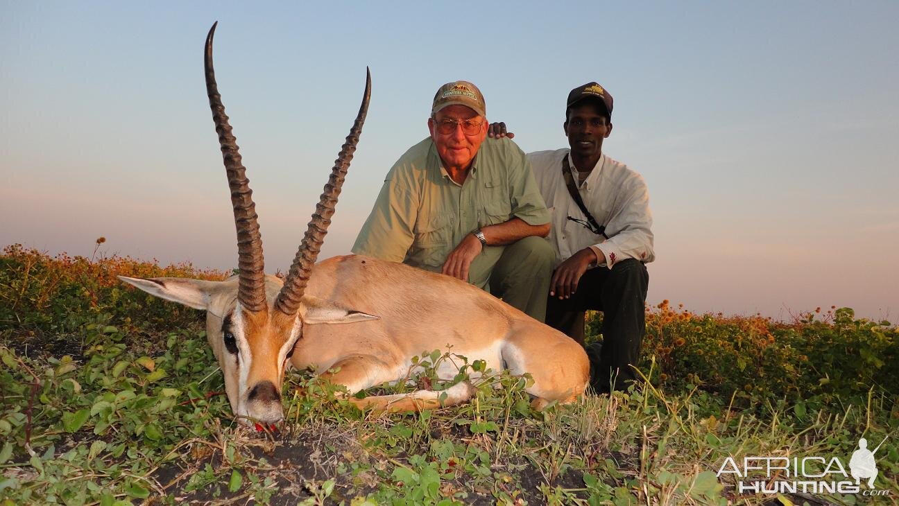 Grant's Gazelle Tanzania Hunting