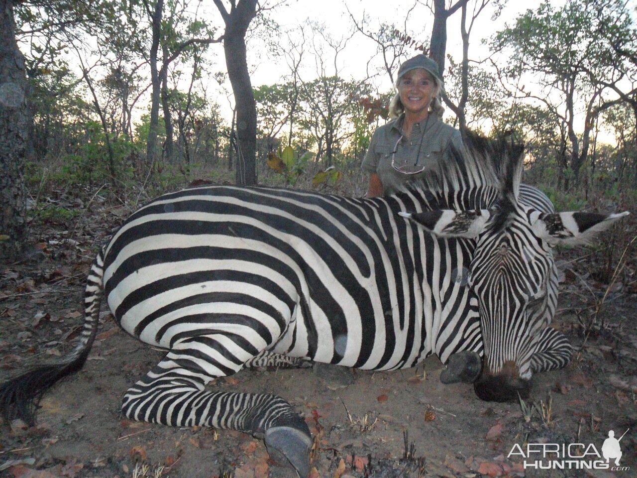 Grant's Zebra Hunting in Mozambique