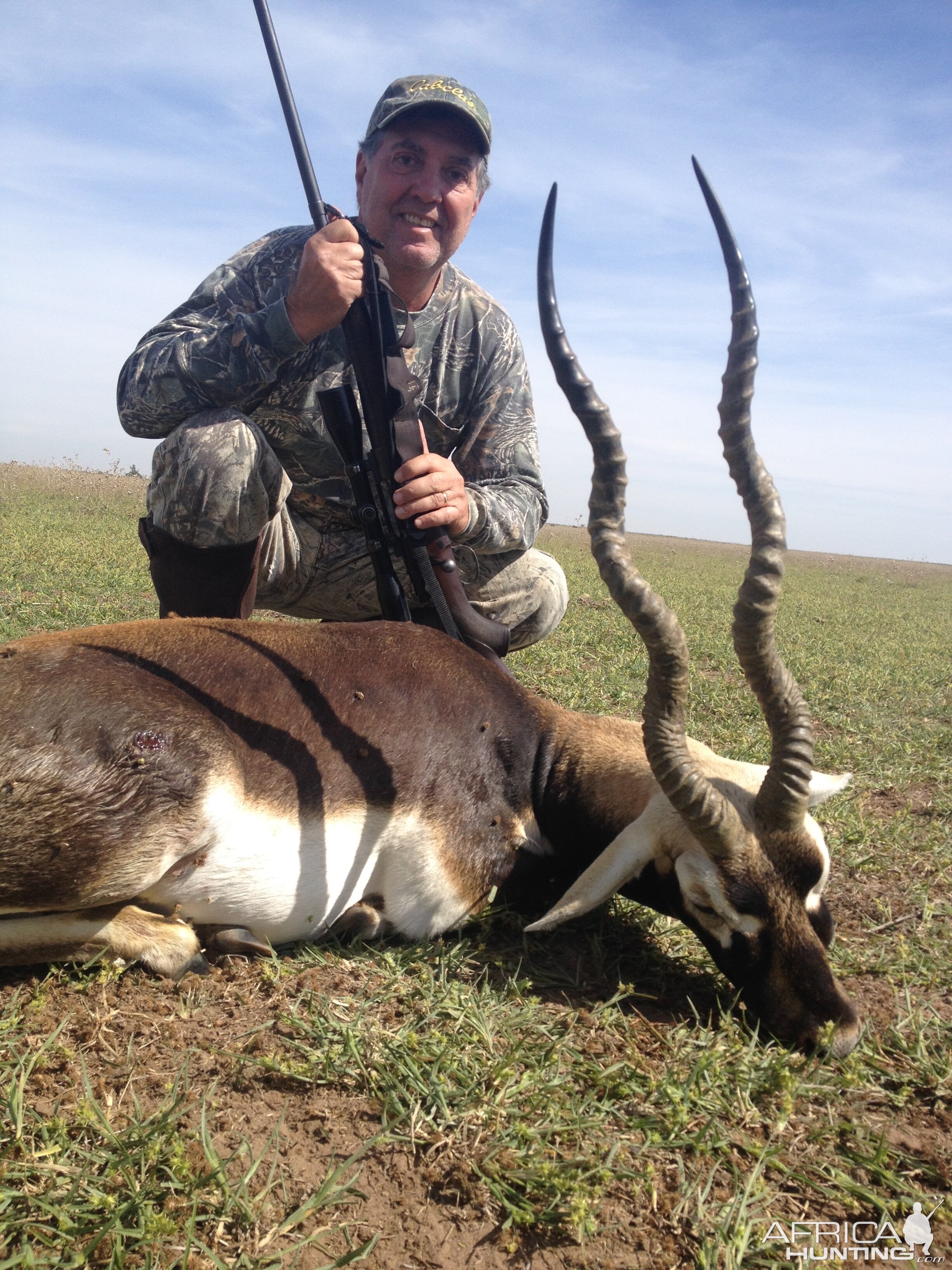 Great blackbuck in Argentina!