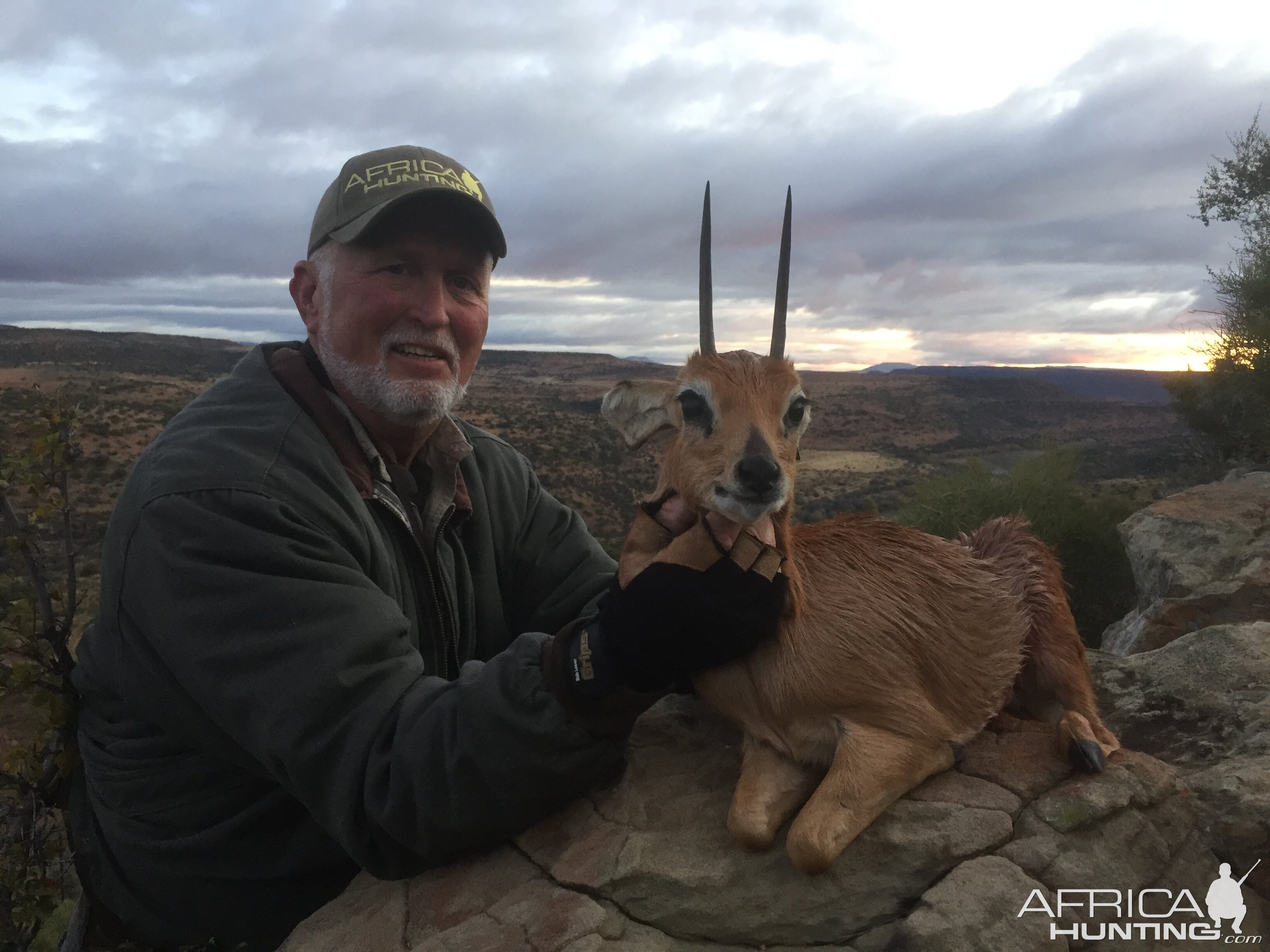 Great Steenbuck - Lategan Safaris