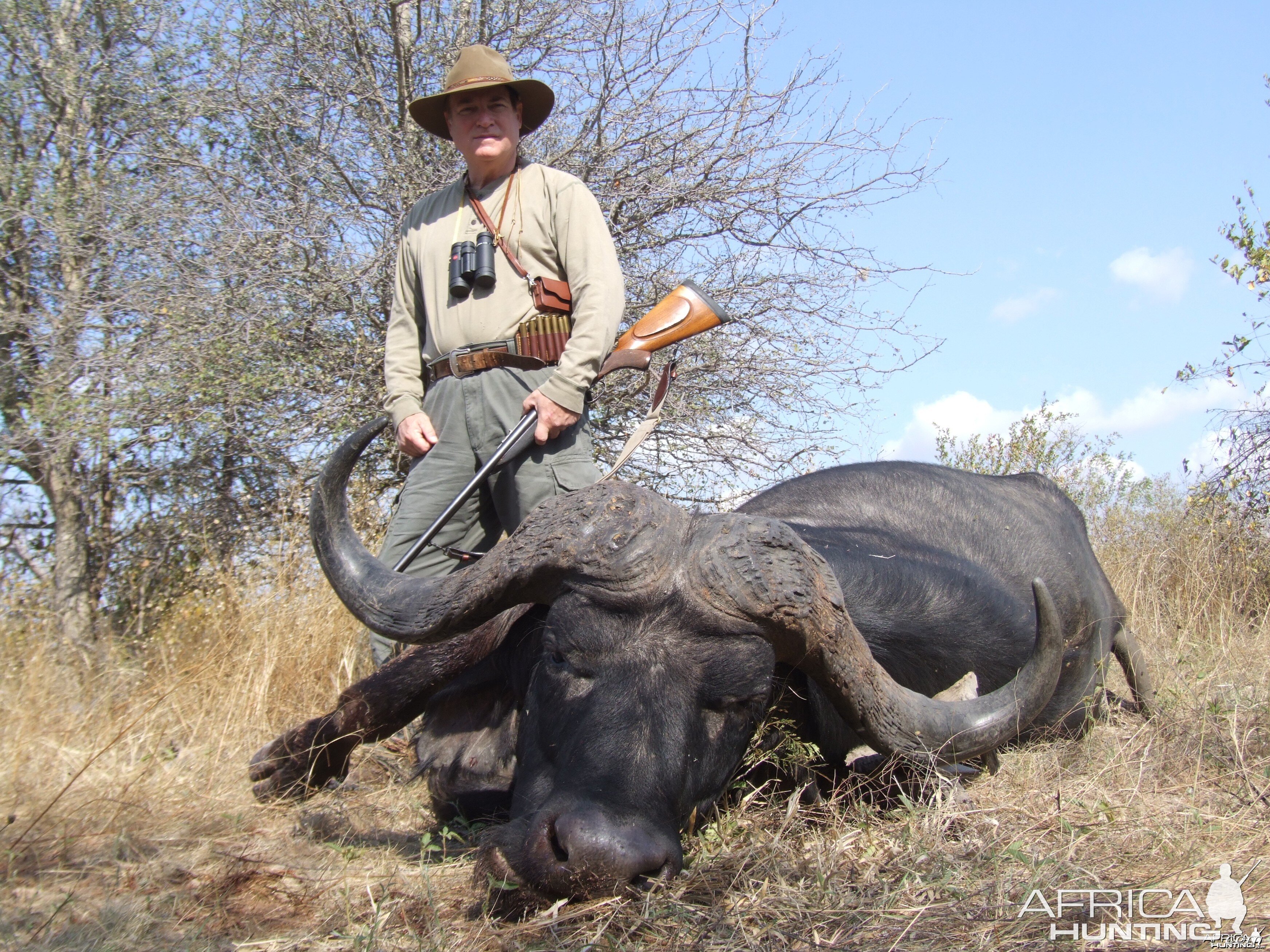Greater Kruger Buffalo Bull, Spear Safaris