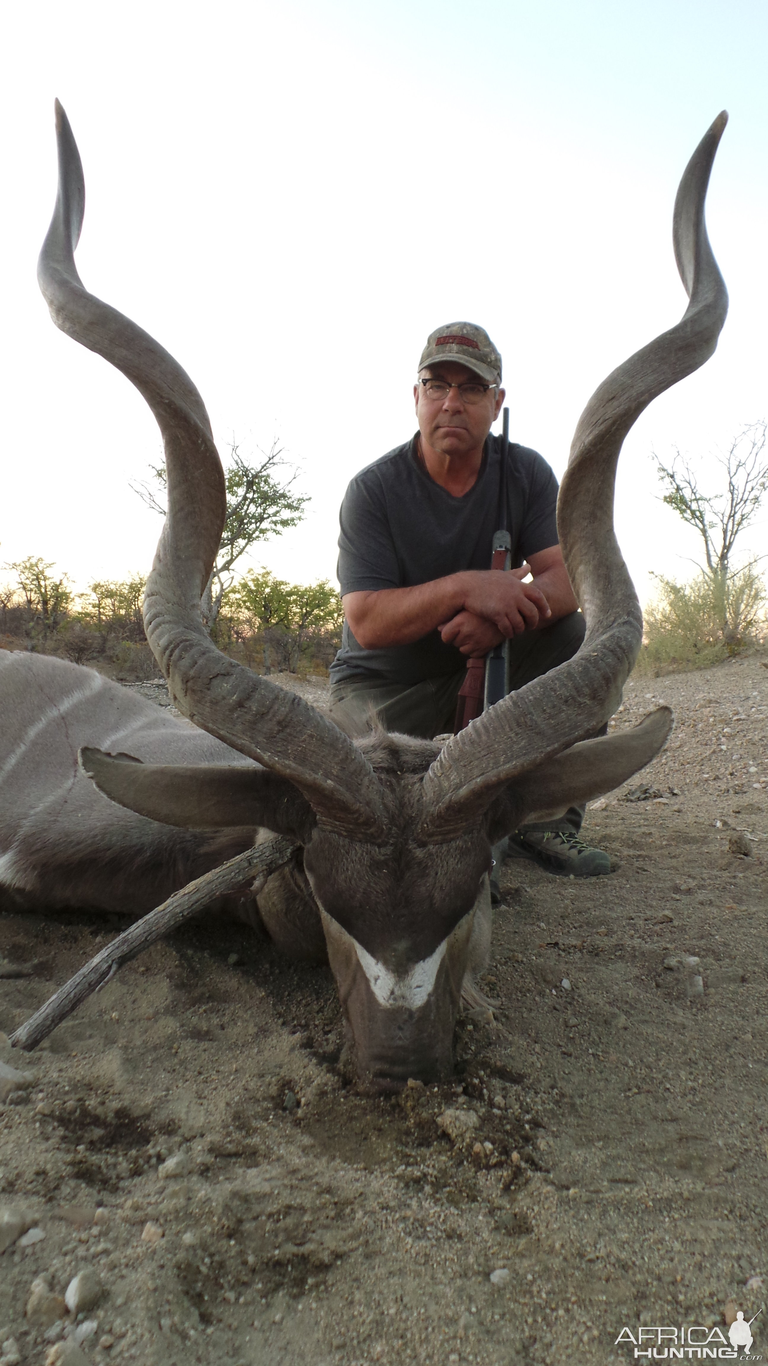 Greater Kudu Hunt Namibia