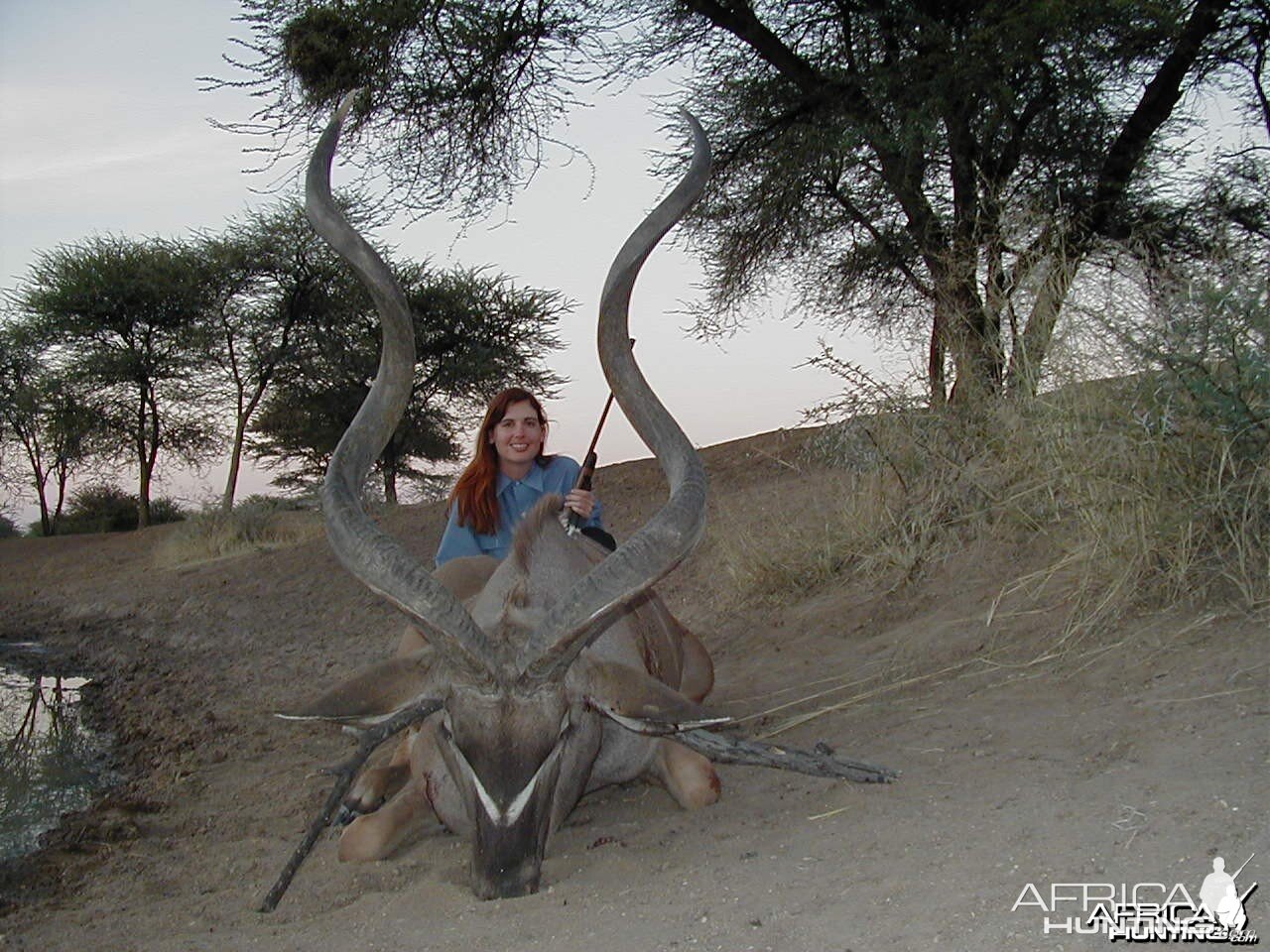 Greater Kudu Namibia 59 3/4 inch (151.77 cm)
