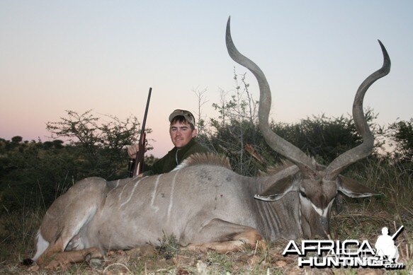 Greater Kudu