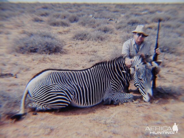 Grevy's Zebra Hunt