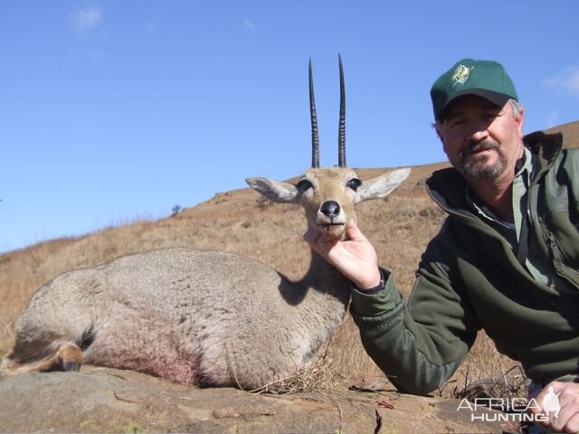 Grey Rhebok Hunt