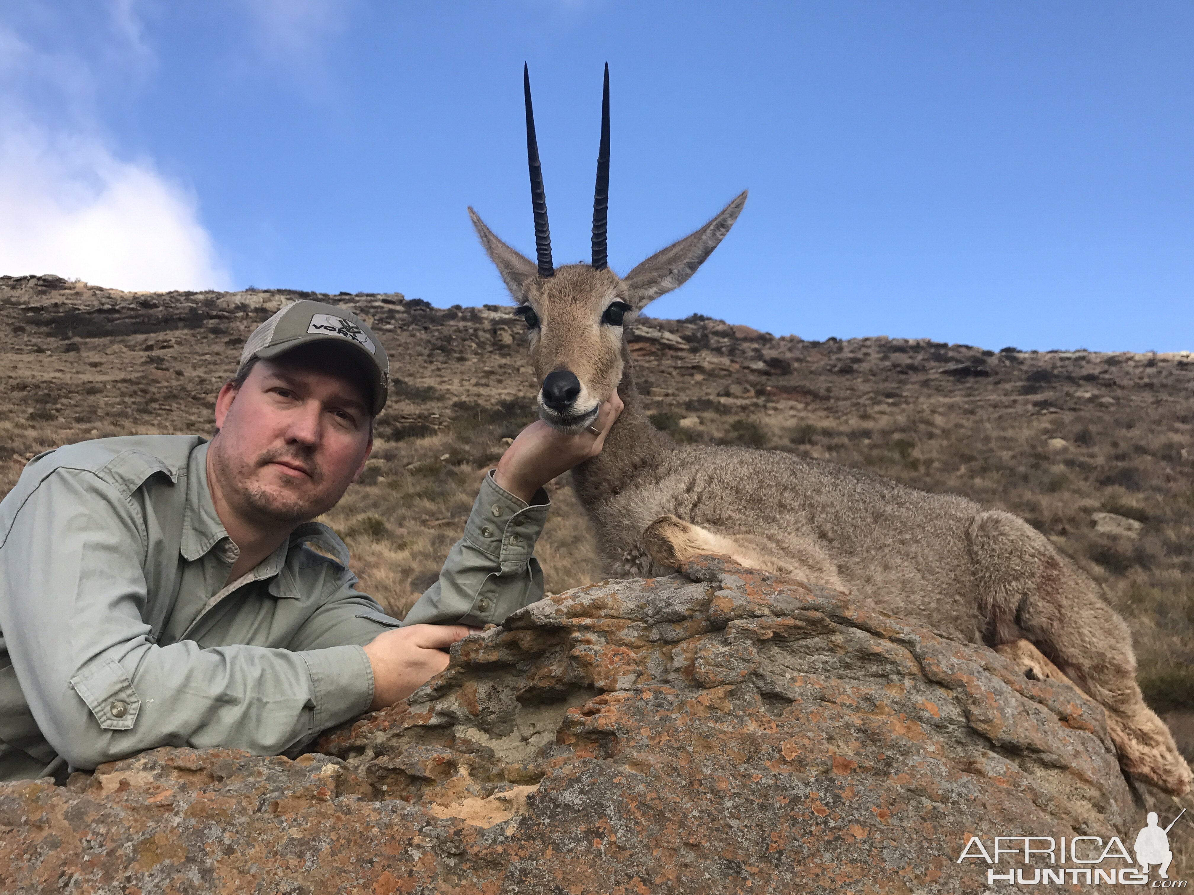 Grey Rhebok Hunting