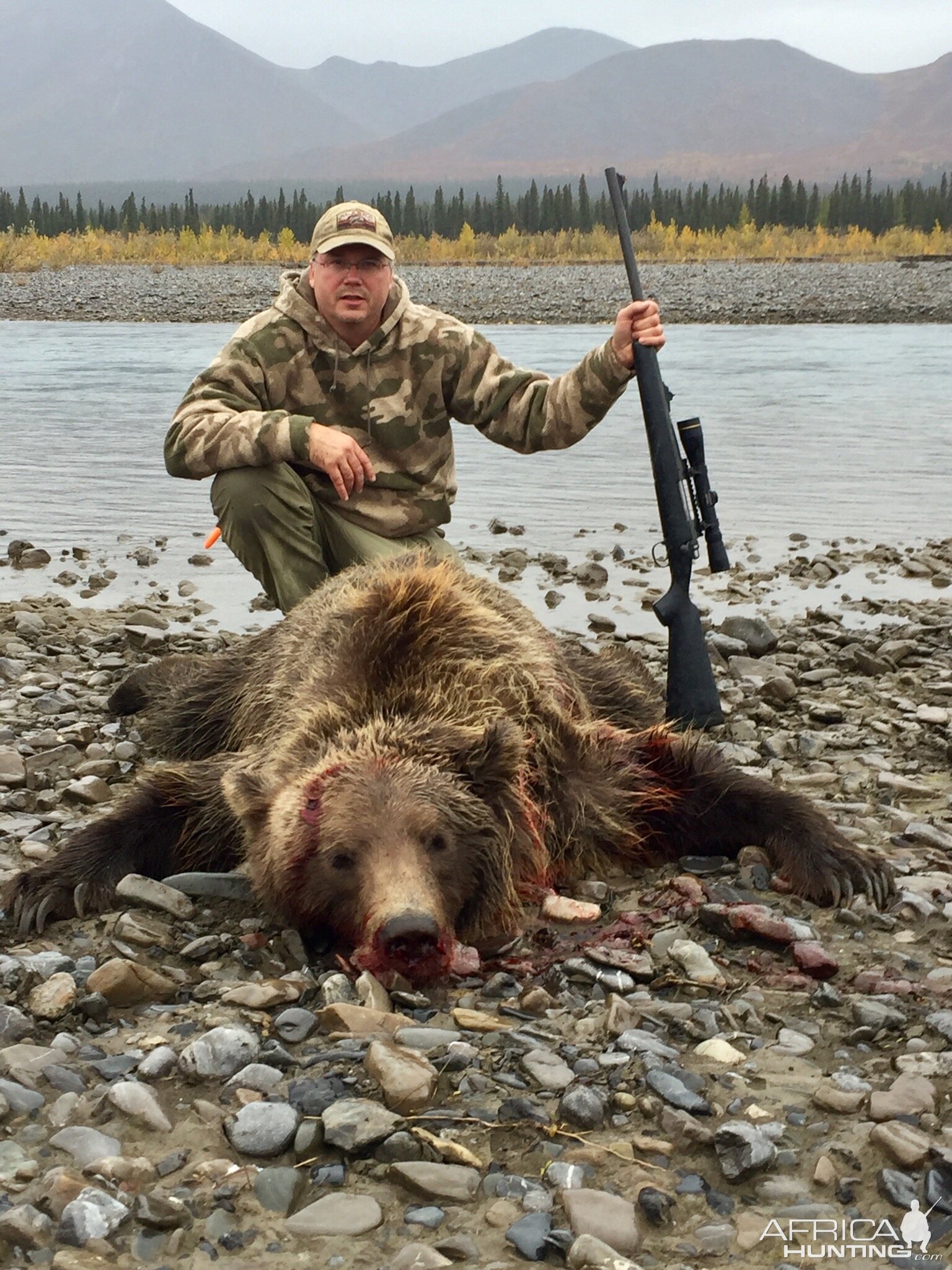 Grizzly Bear Hunt Alaska