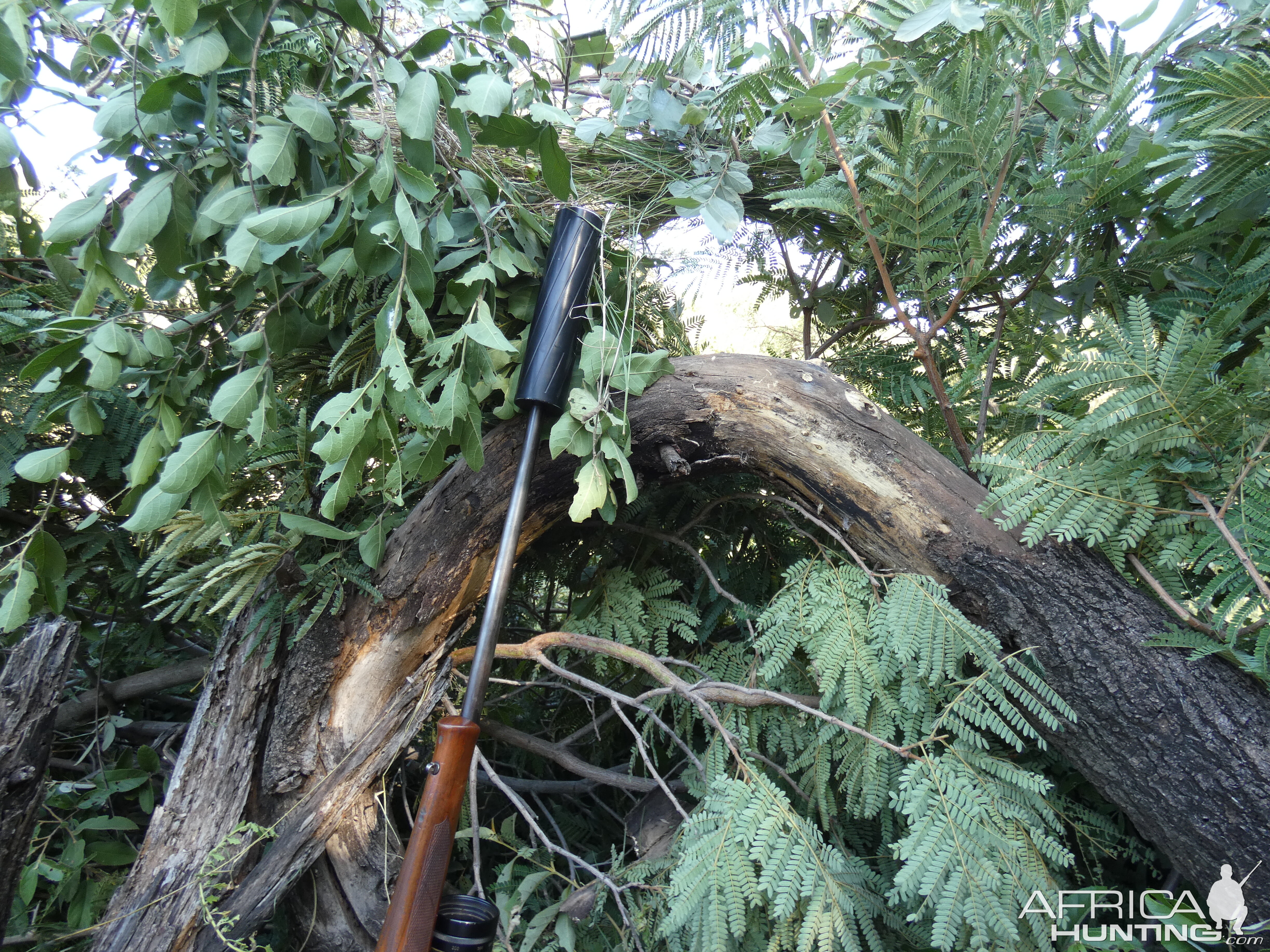 Ground Blind Build