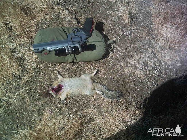 Ground Squirrel Hunting USA