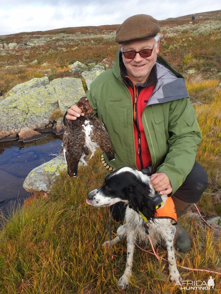 Grouse Hunting Norway