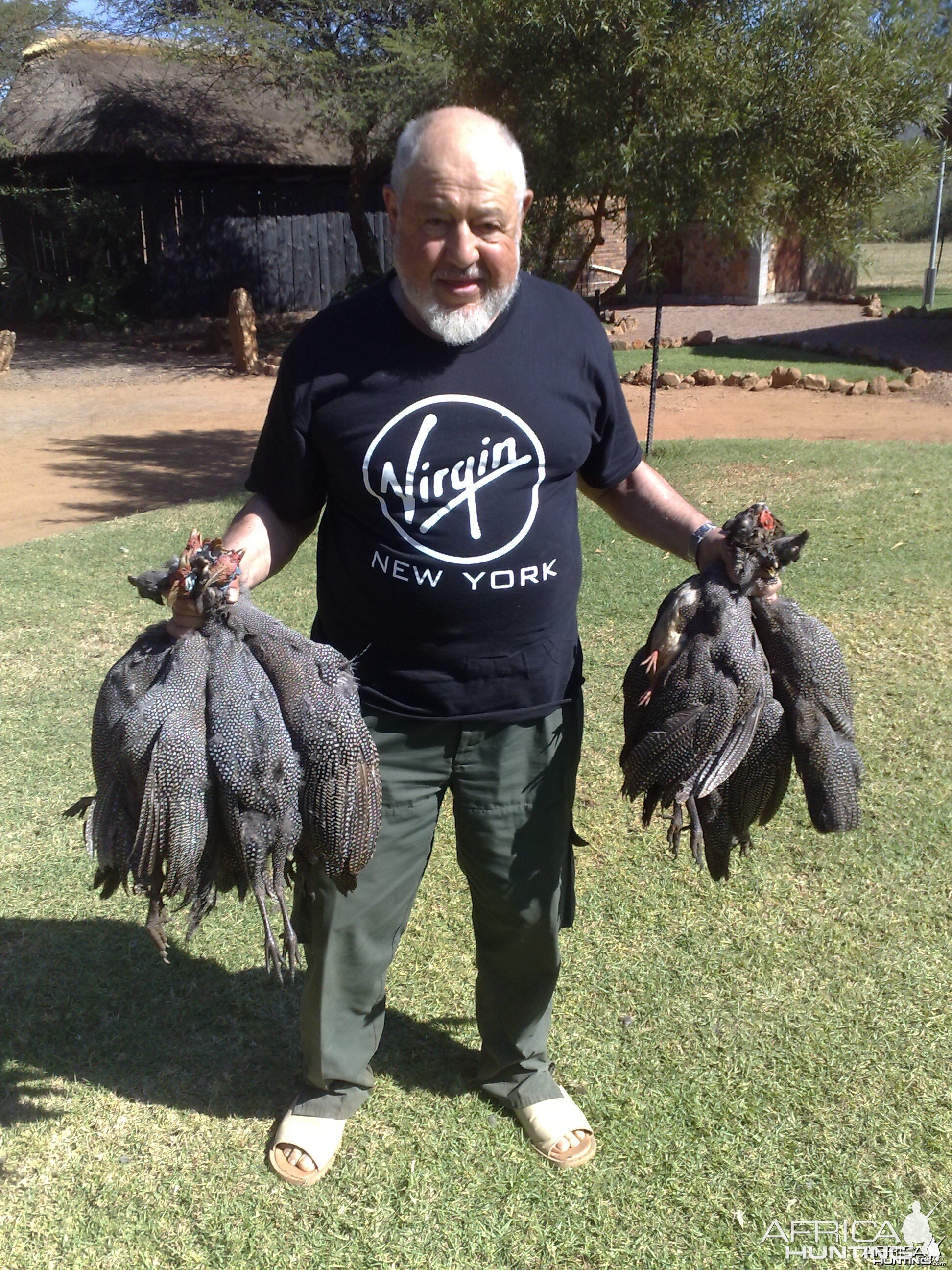 Guineafowl hunting in South Africa